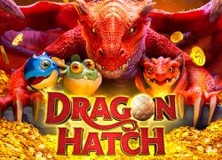 Dragon Hatch